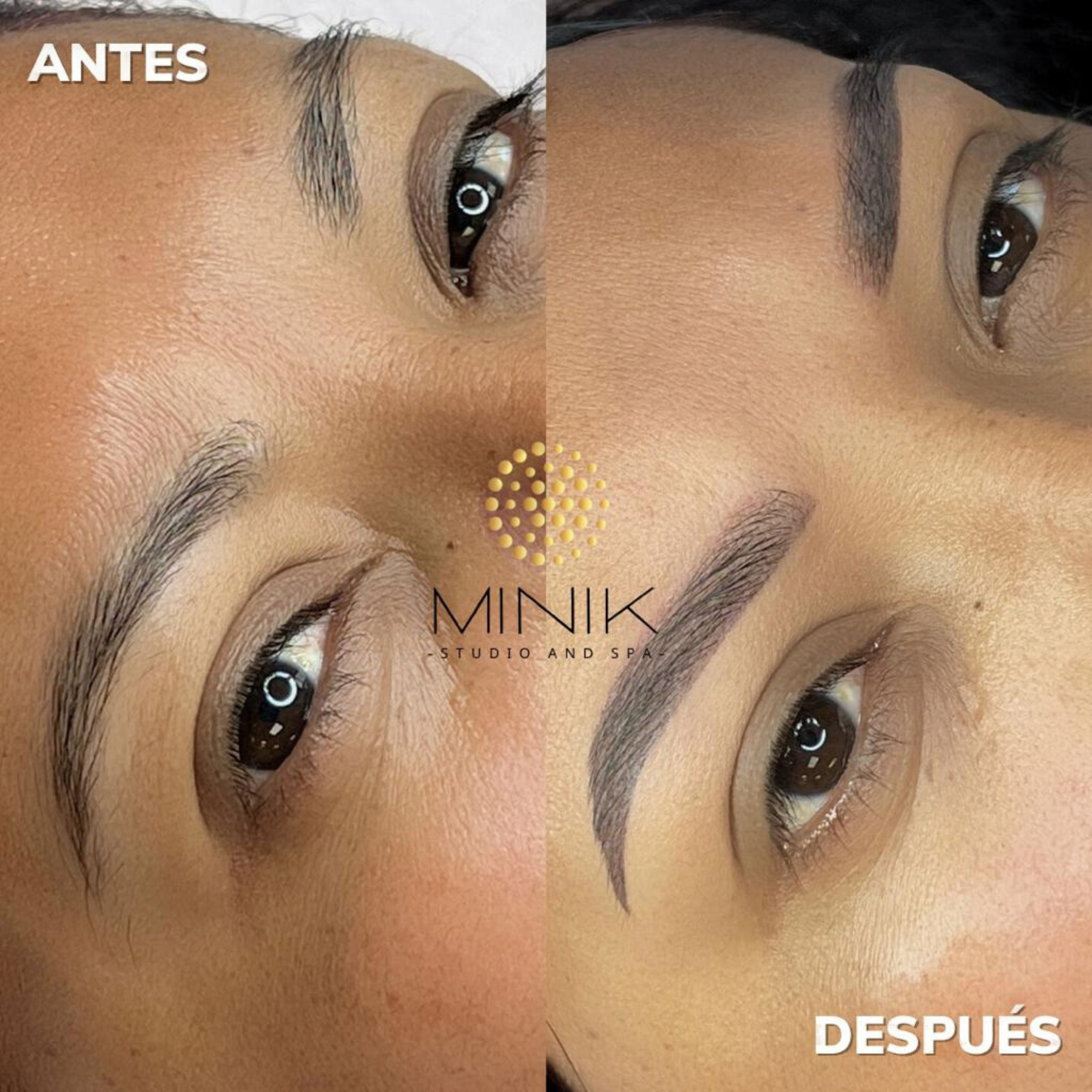 Capacitación en Powder Brows (Cejas efecto polvo) - Imagen 3