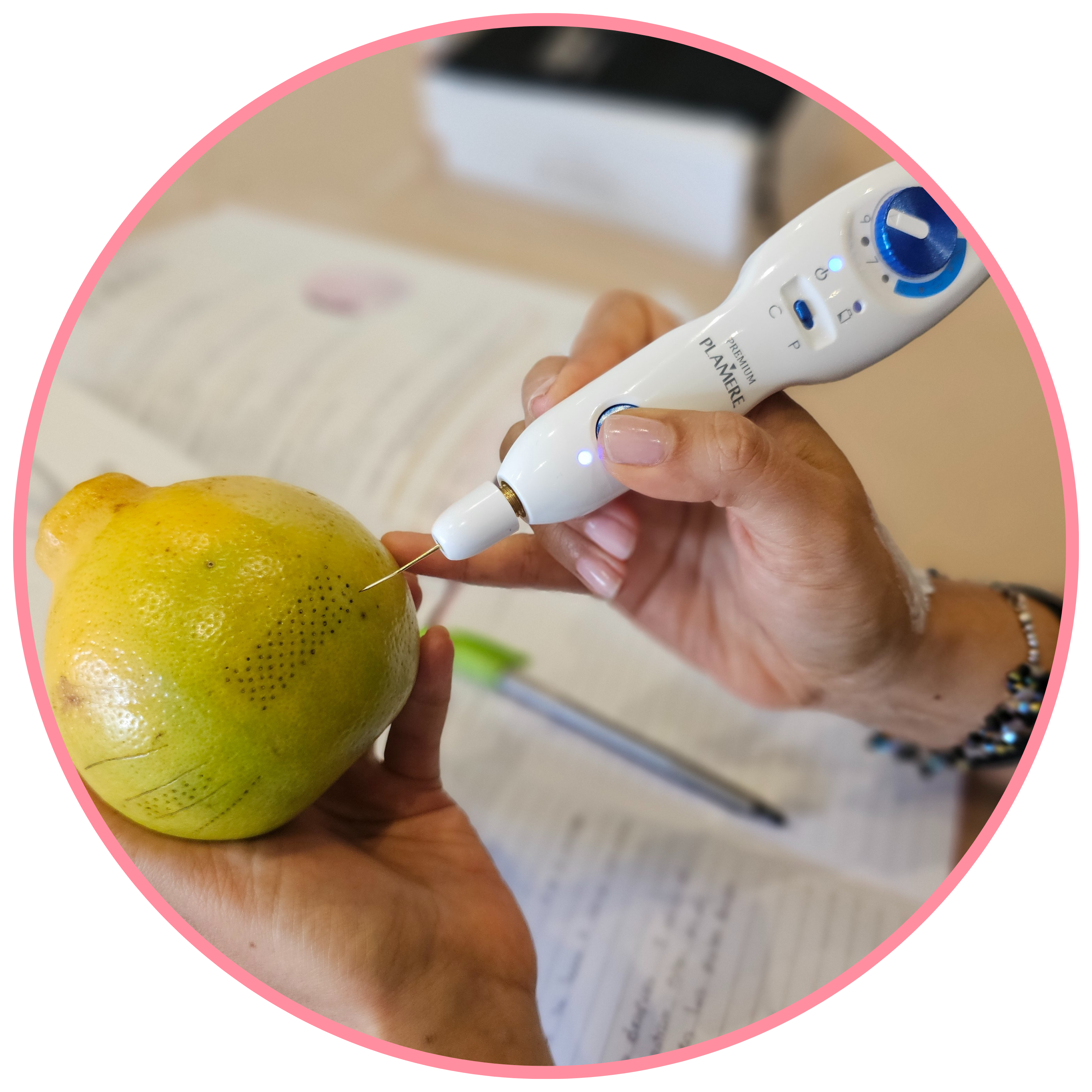 Curso Fibroblasto Plasmático Pré-gravado - Português